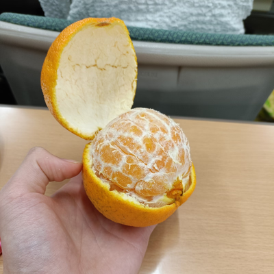 松永 拓己 の写真